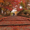 京都 毘沙門堂の秋楓 III