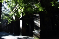 京都 南禅寺 朝日を浴びる水路閣