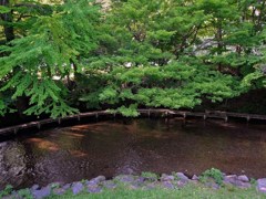 北海道 千歳 水と緑 II