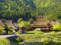 京都 美山　新緑の町