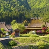 京都 美山　新緑の町