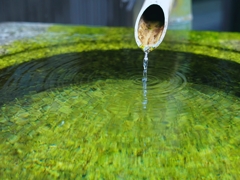 京都 梨木神社 湧き水の名水