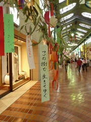 この街で生きてゆく