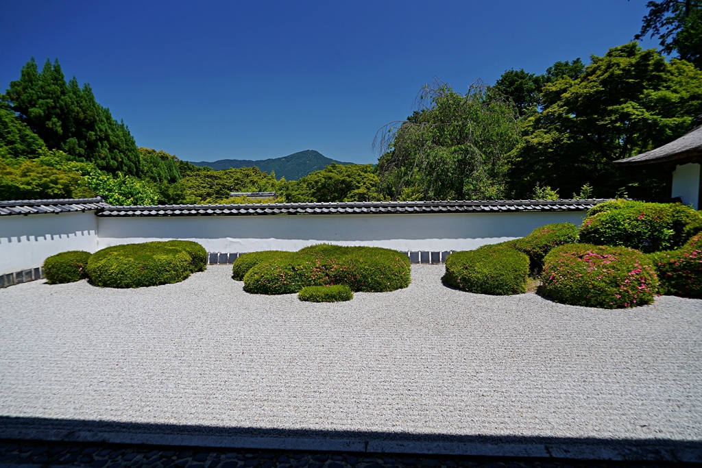 京都 正伝寺 禅の庭園