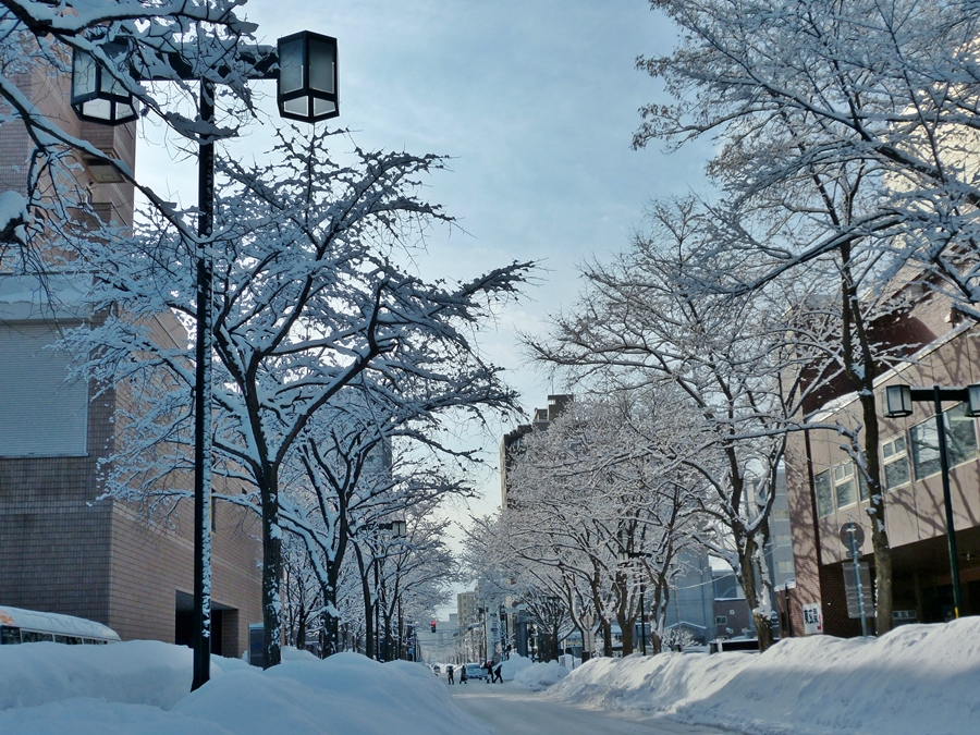 雪の町