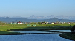 北海道 初夏の水畑-2