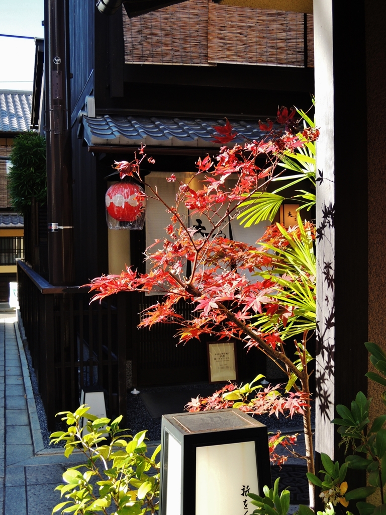 京都 祇園の秋