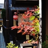 京都 祇園の秋