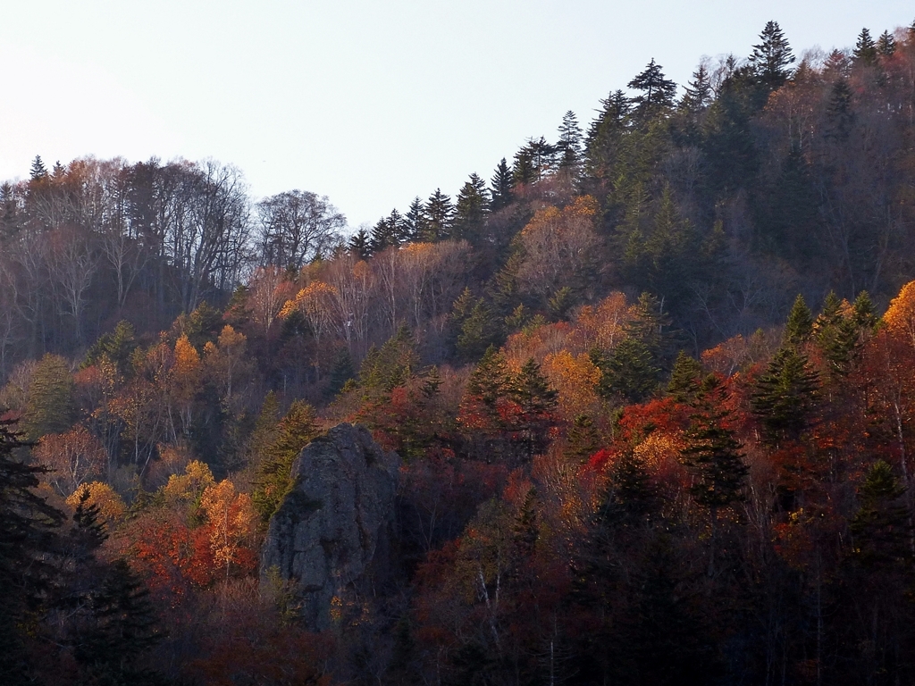 北海道 豊平峡の晩秋