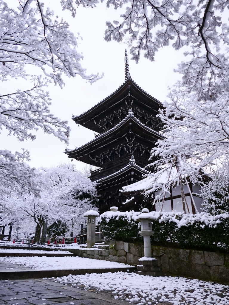 京都 雪景色 真如堂 II
