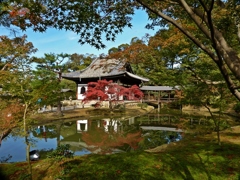 京都 高台寺 臥龍池