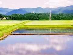 秋田 田園風情