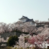 岡山 津山城の春