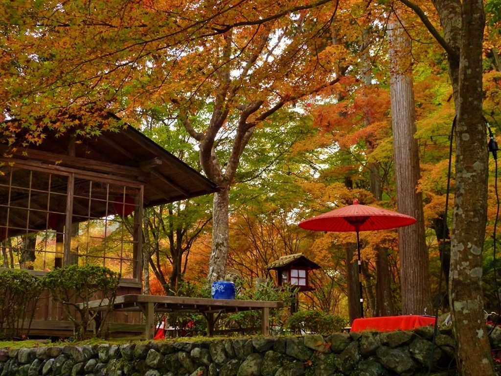 京都 秋の茶席