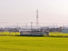 岡山 吉備線 初秋