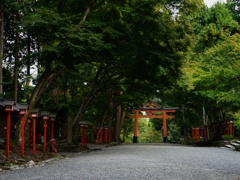 滋賀 日吉大社 西の参道