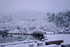 京都 円山公園 銀色の世界
