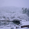 京都 円山公園 銀色の世界