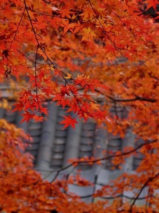 岡山 法界院