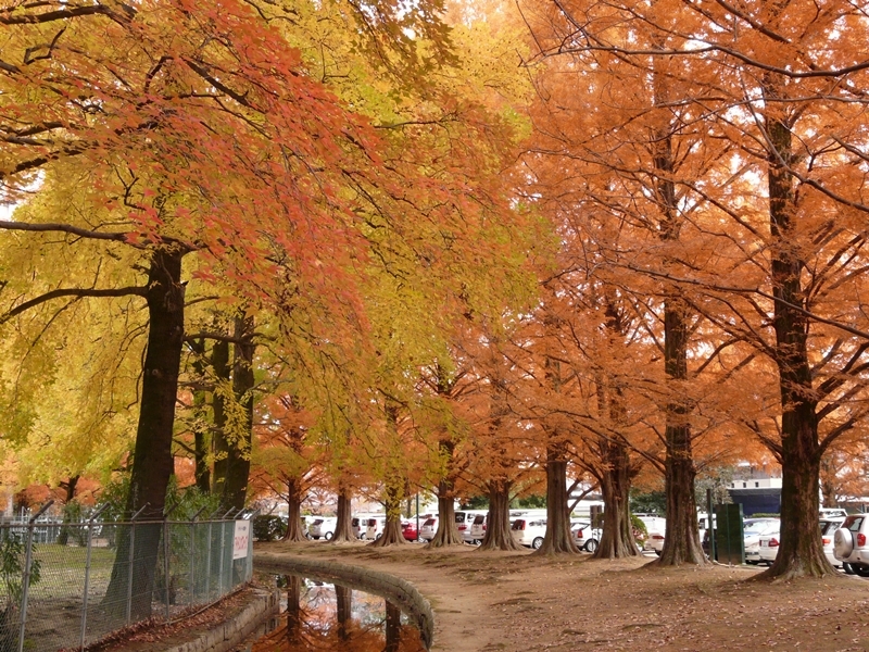 岡山 津島運動公園