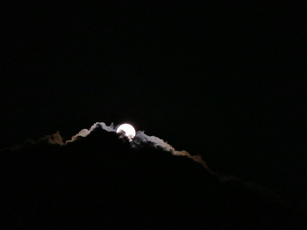 京都 雲上の月光