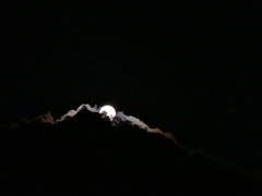 京都 雲上の月光