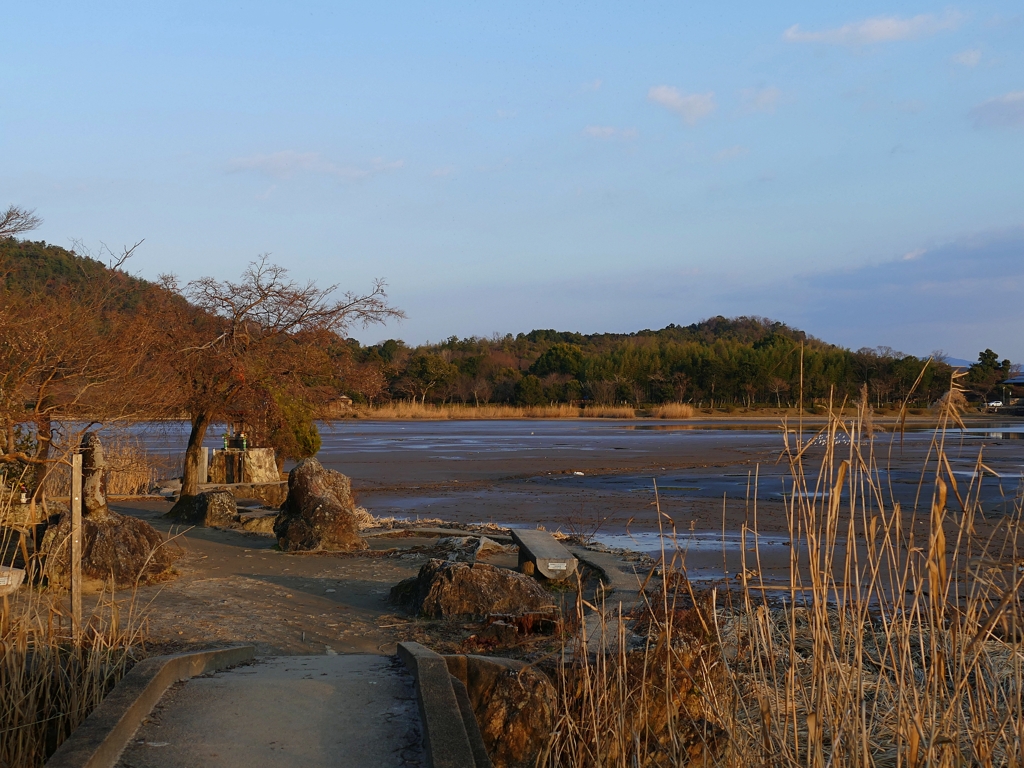 京都 冬の広沢池