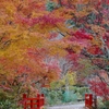 亀岡 神蔵寺 秋の彩り