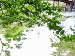 京都 京都タワーの映り