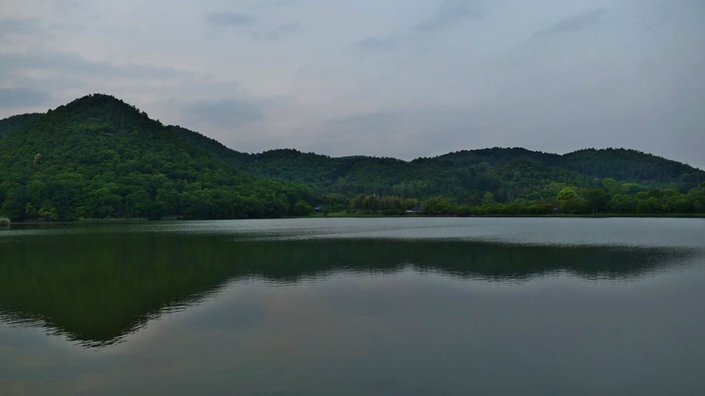 京都 広沢池にて