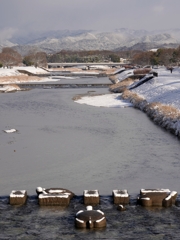 京都 雪の鴨川