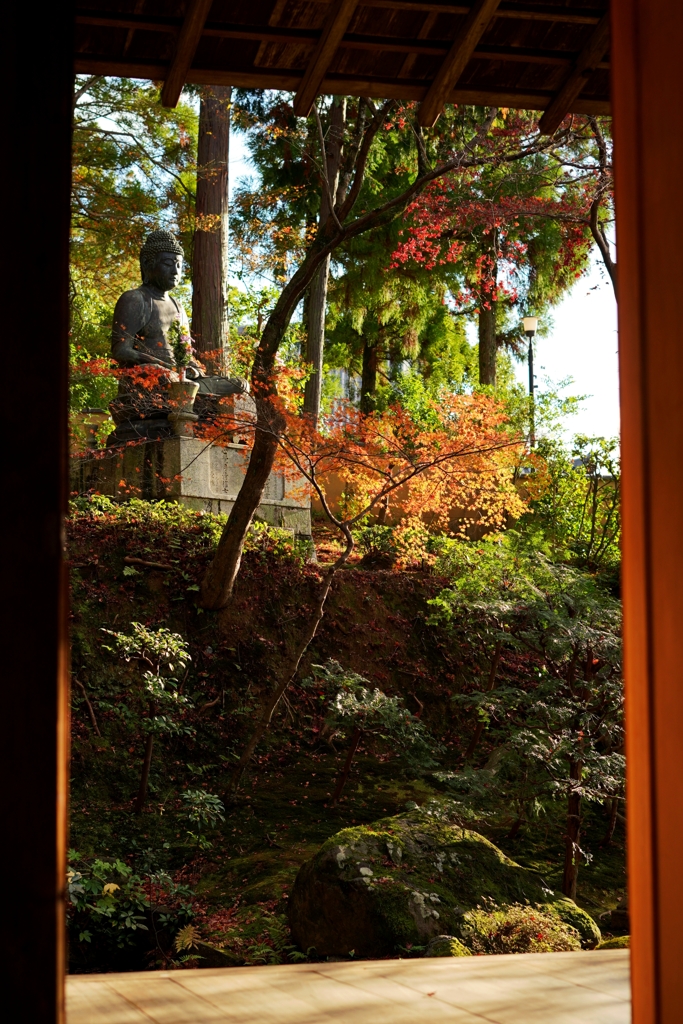 京都 栄摂院 仏様の祥光