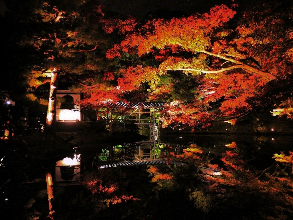 京都 高台寺 臥龍池のもみじ 