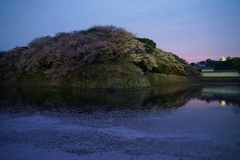 滋賀 彦根城の春