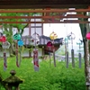 京都 松尾大社 夏の風鈴