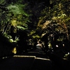 京都 高台寺 光の棧道
