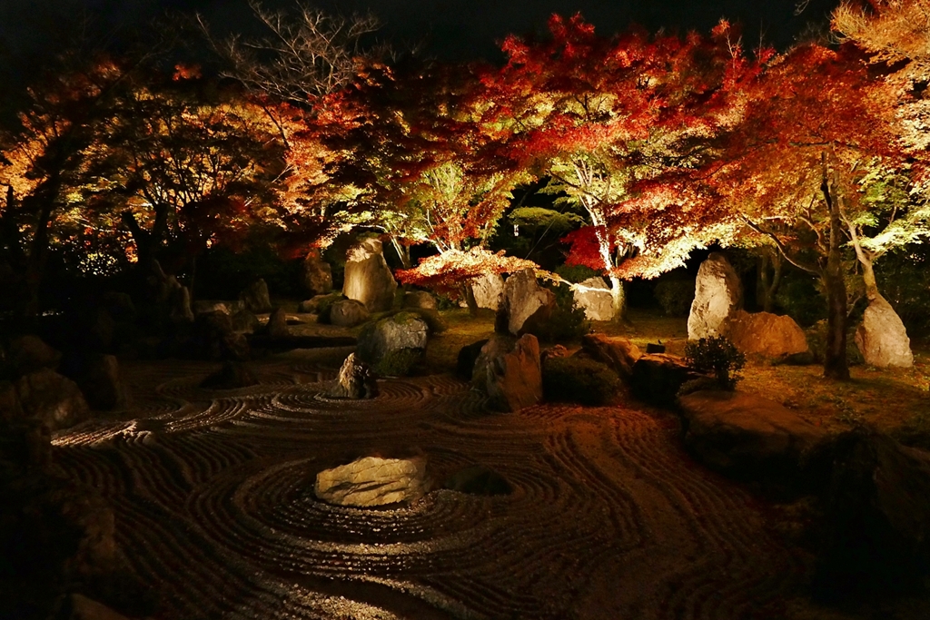 京都 青蓮院門跡 もみじ III