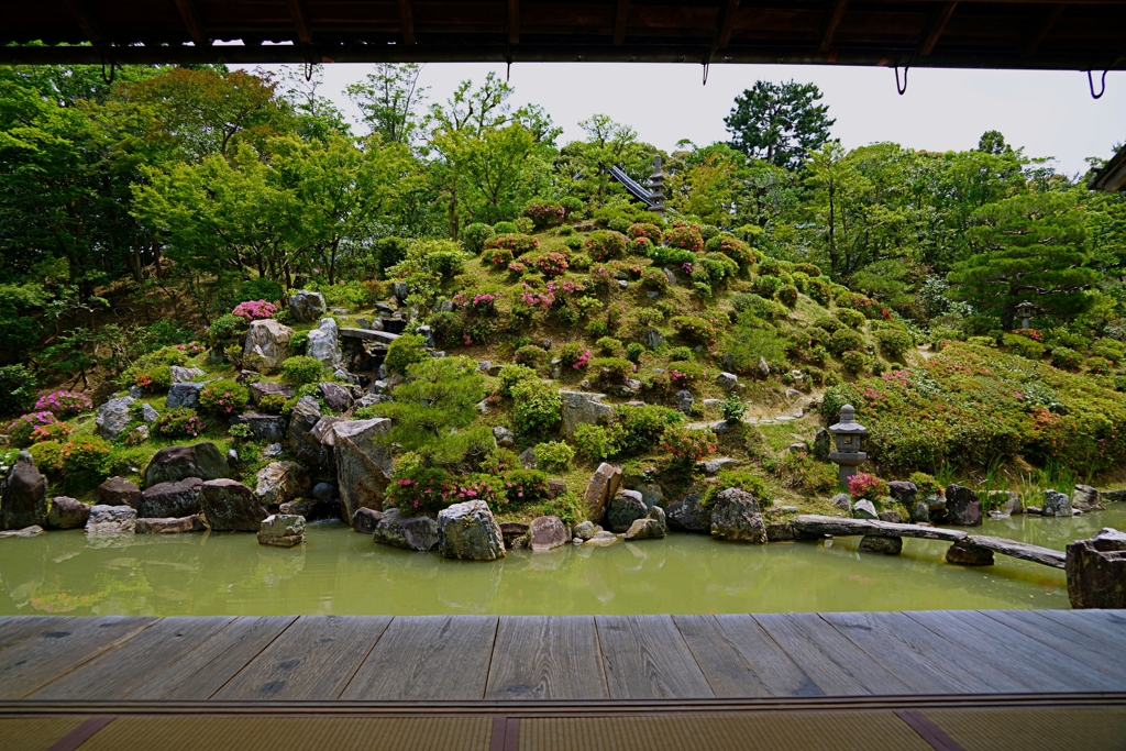 京都 智積院 静かな庭園