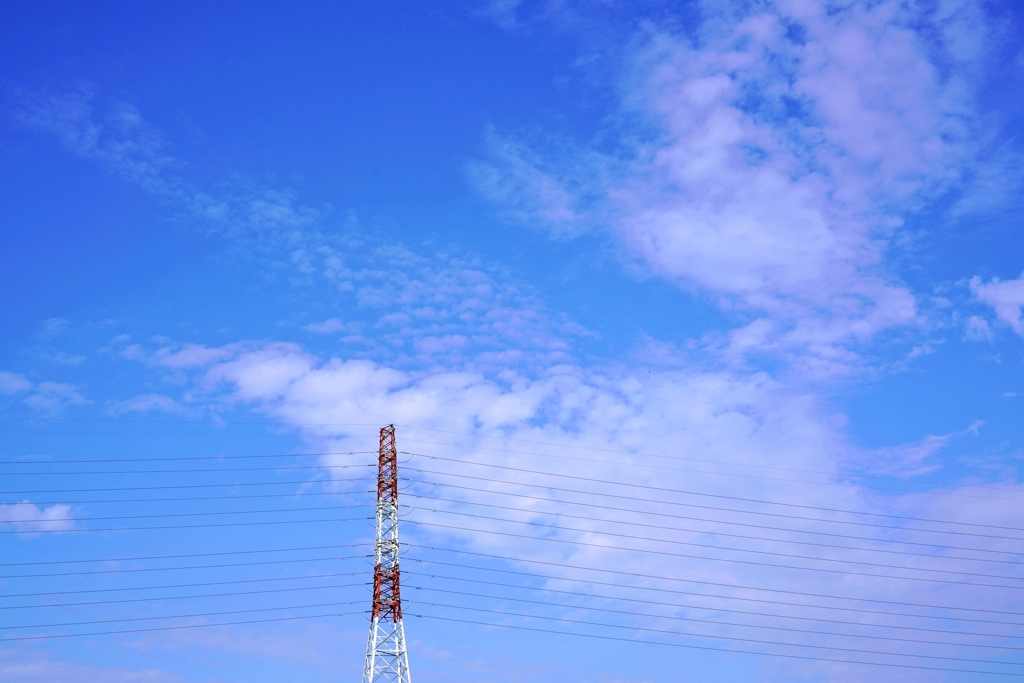 田野の青空