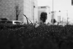 FH000010
