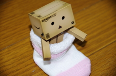 UNTITLED