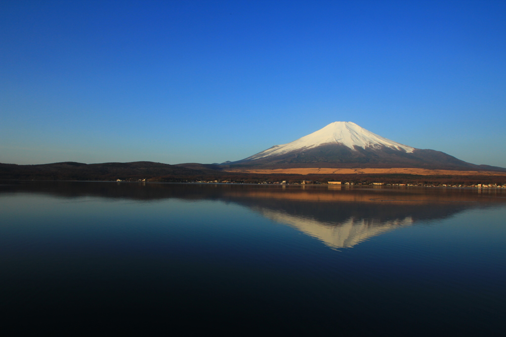 朝富士