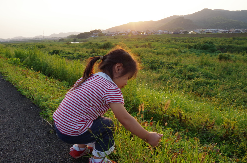 散歩道　