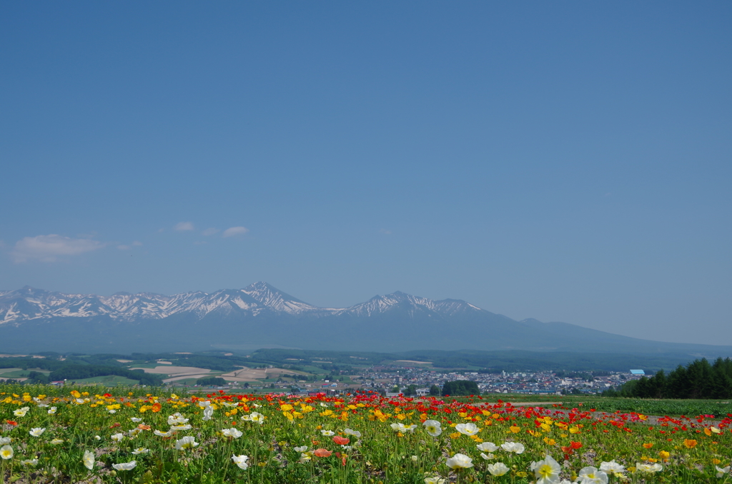 十勝岳連峰