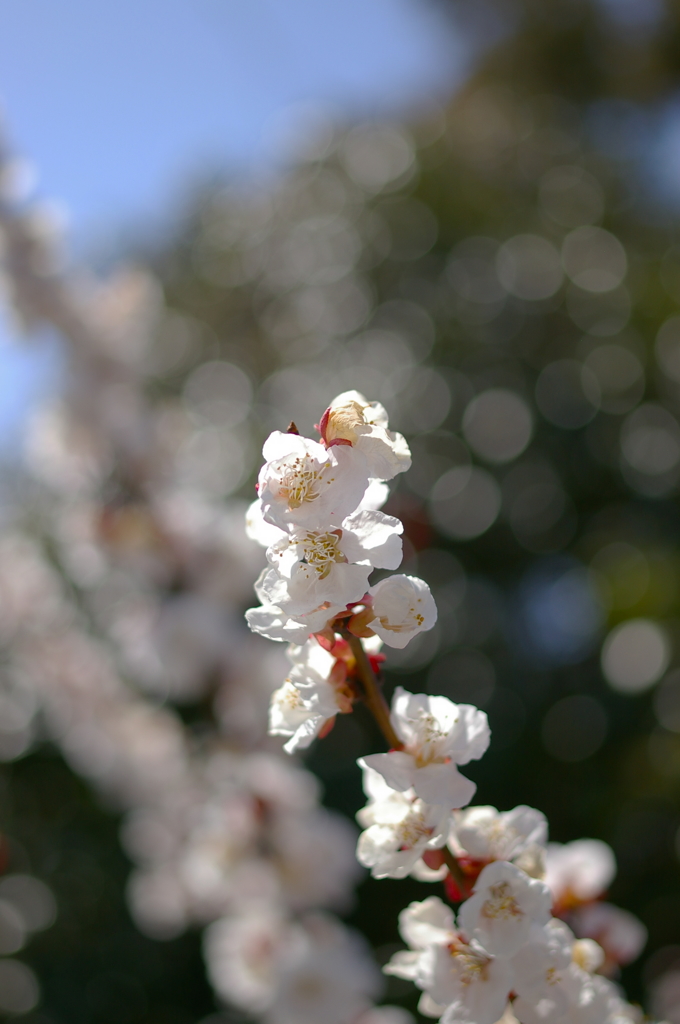 陽差し、燦々と