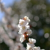 陽差し、燦々と