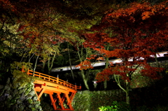 2012.11.17-2