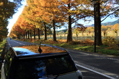 2012.11.25-14