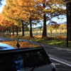 2012.11.25-14