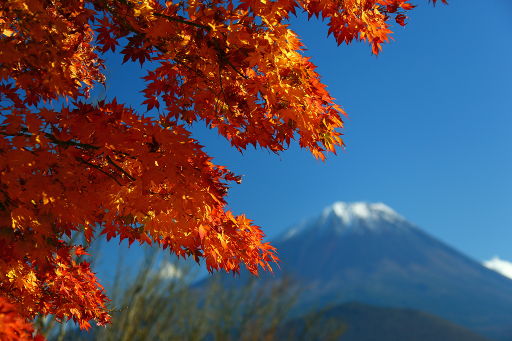 2014.11.15-1